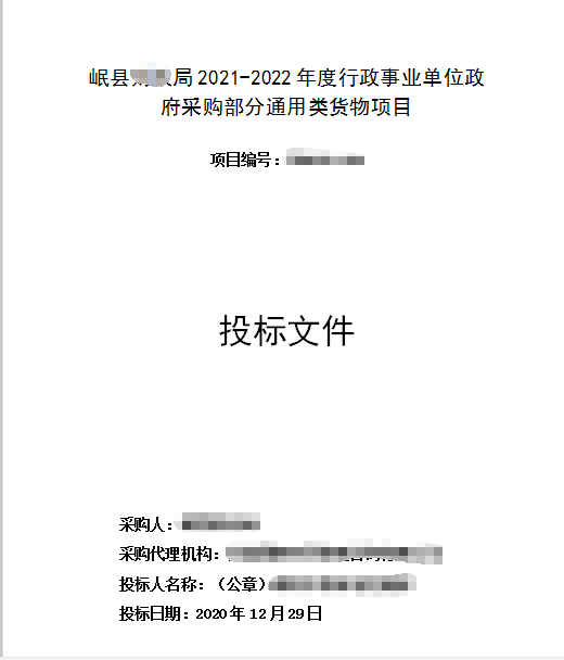 岷县财政局部分通用类货物采购标书制作模板第1张图片