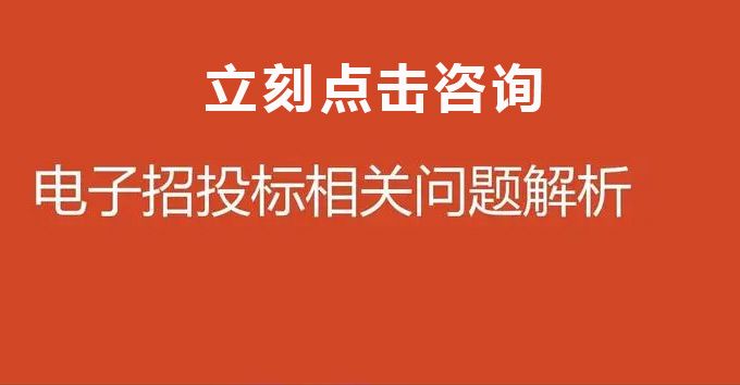 电子投标文件的分类及编制要求